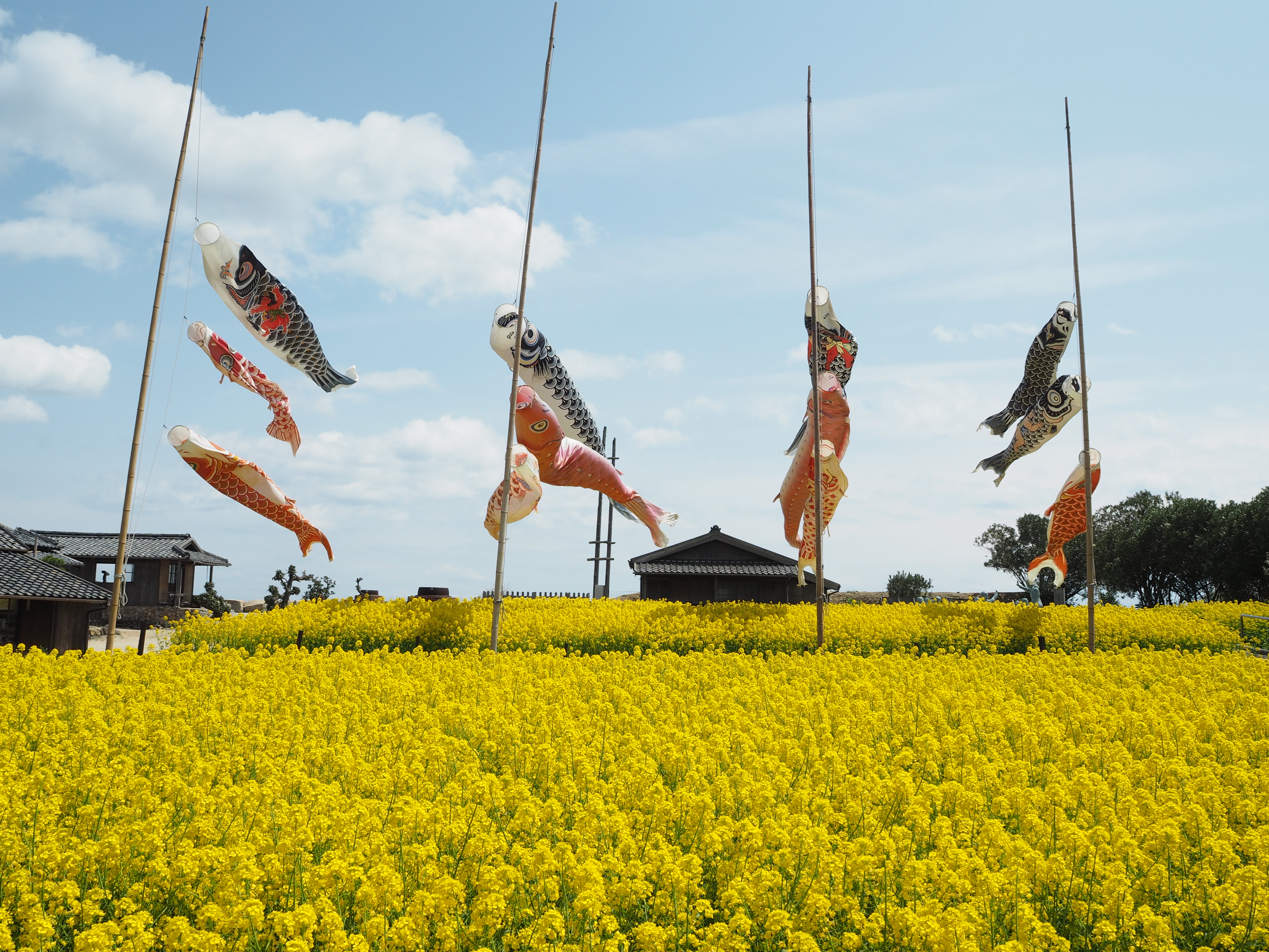 http://24hitomi.or.jp/P4126528.JPG