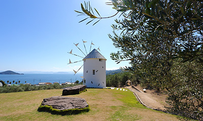 ギリシャ風車と瀬戸内海「オリーブ公園＆オリーブ園」