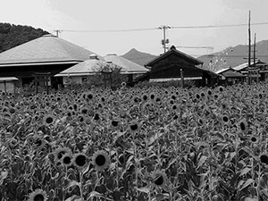 アートとして見る 二十四の瞳映画村