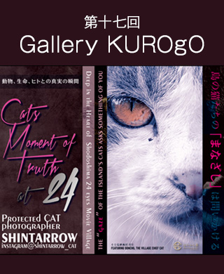 Gallery KUROgO