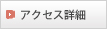 �A�N�Z�X�ڍ�
