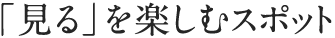 「見る」を楽しむスポット