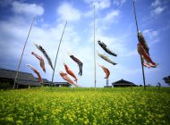 四季の花畑